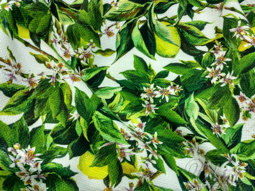 Ткань Хлопок  11648 1